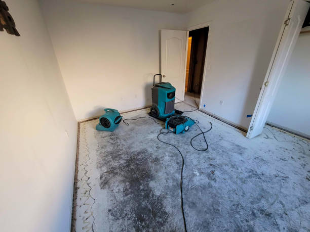 Best Water damage restoration experts  in Clay Center, KS