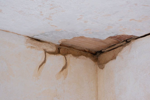 Best Water damage repair service  in Clay Center, KS