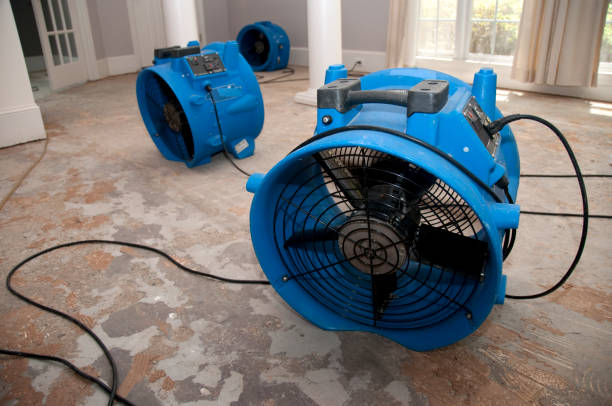 Best Water damage contractors near me  in Clay Center, KS
