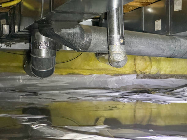 Best Professional water damage repair  in Clay Center, KS