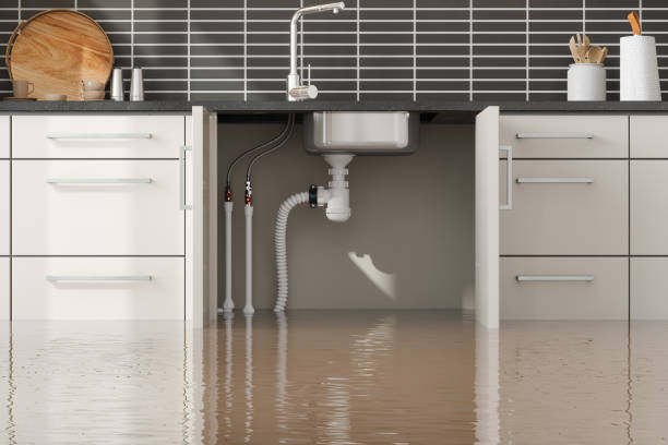 Best Professional water damage repair  in Clay Center, KS